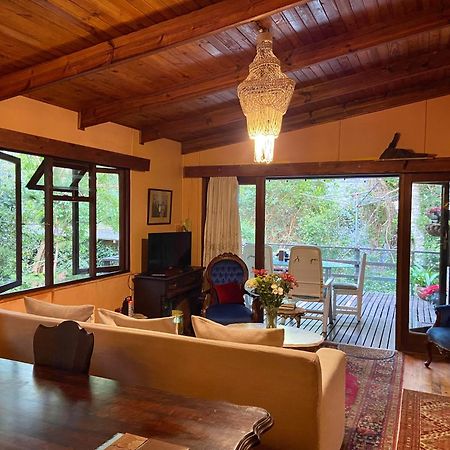 Nature'S Valley Health Retreat A Hide Away In The Forest Ngoại thất bức ảnh