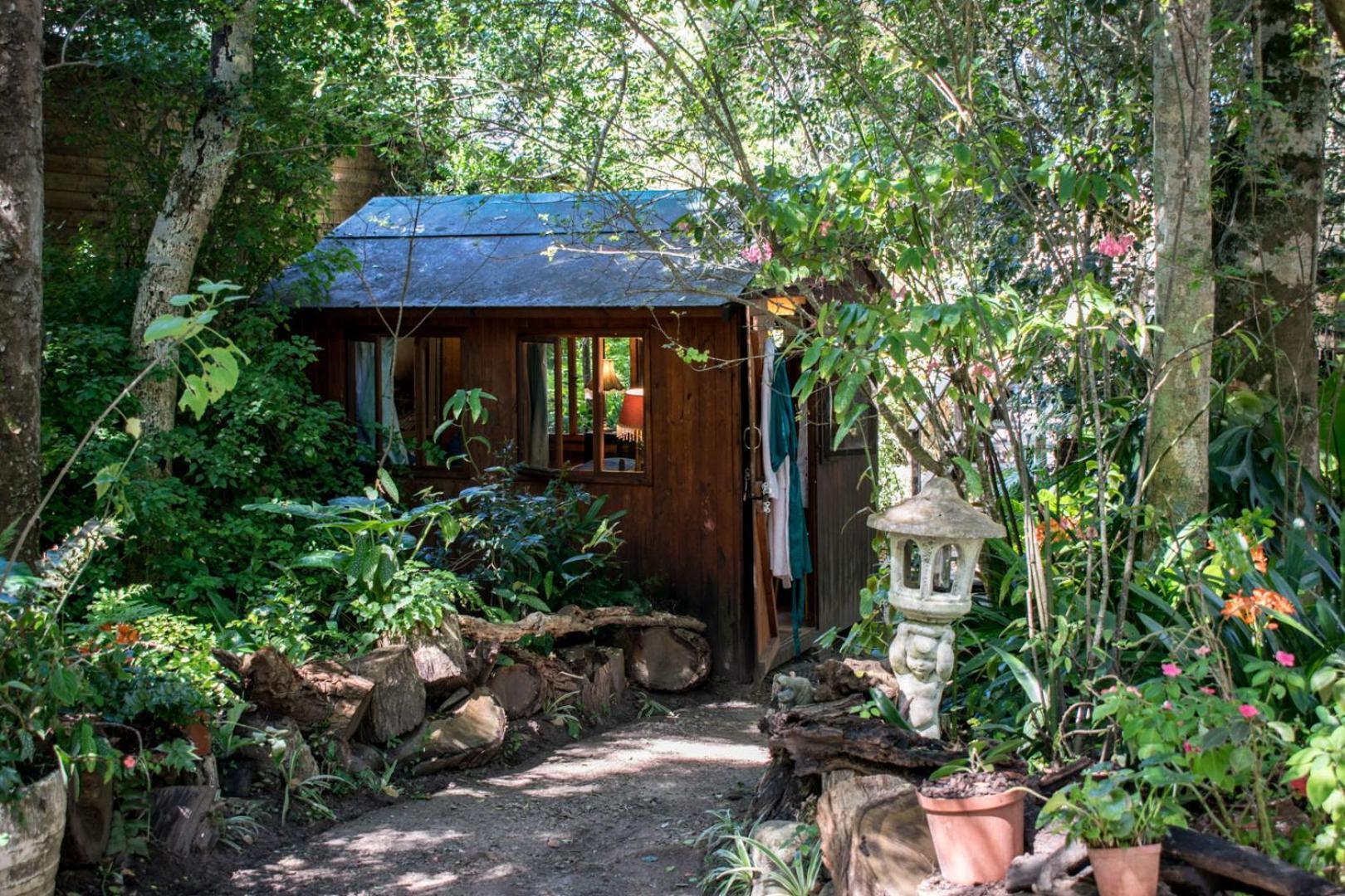 Nature'S Valley Health Retreat A Hide Away In The Forest Ngoại thất bức ảnh