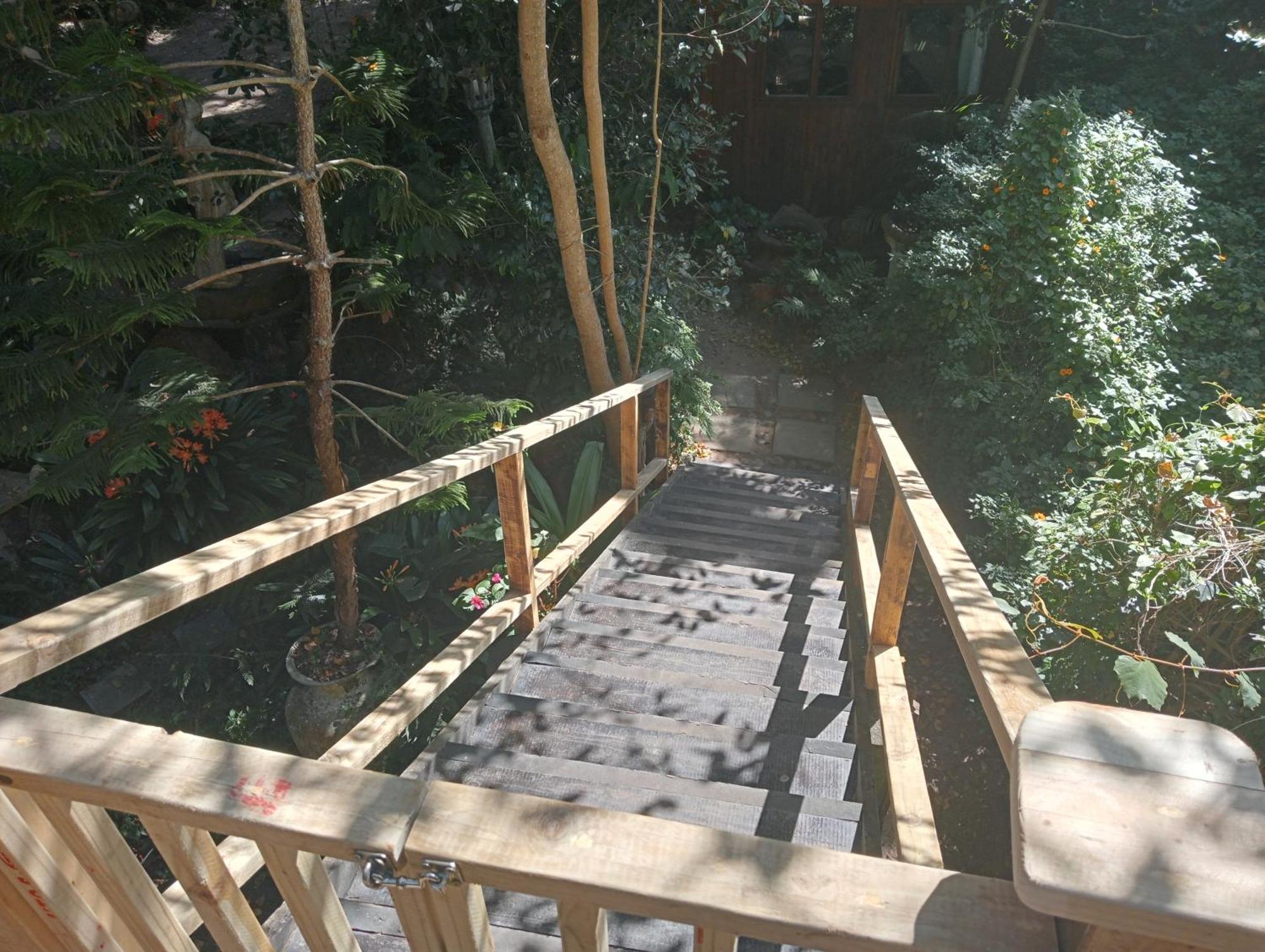 Nature'S Valley Health Retreat A Hide Away In The Forest Ngoại thất bức ảnh