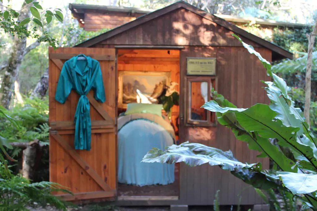 Nature'S Valley Health Retreat A Hide Away In The Forest Ngoại thất bức ảnh
