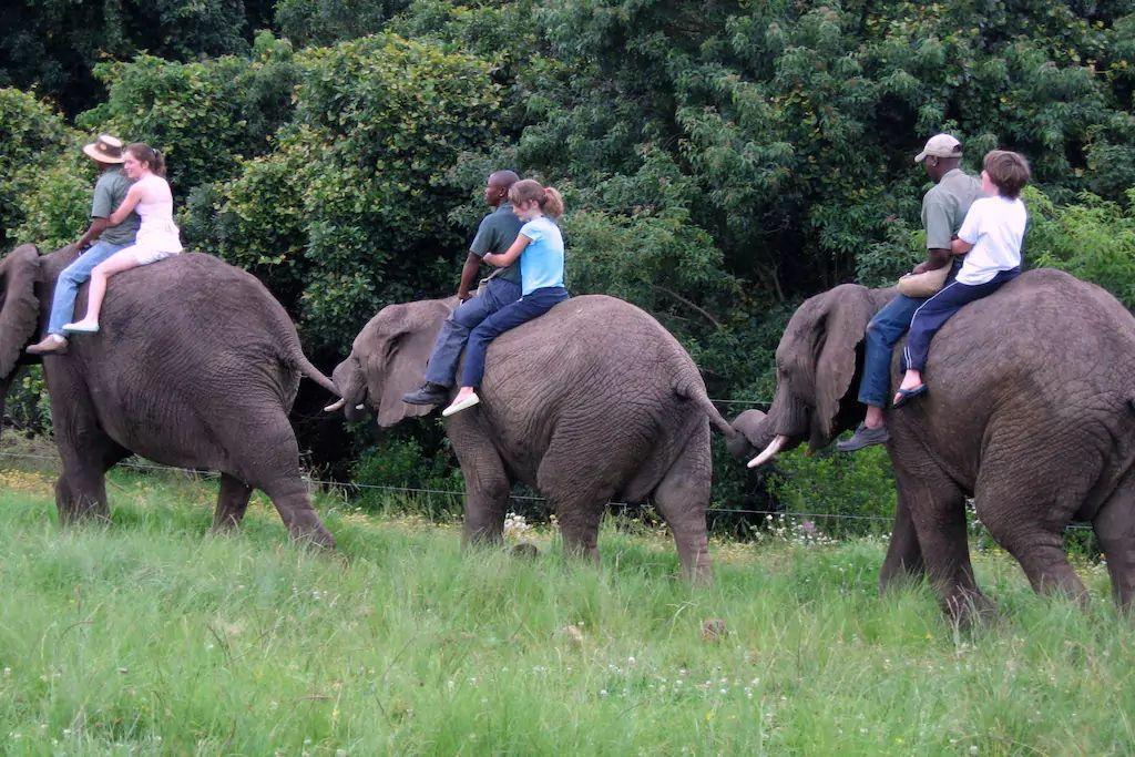 Nature'S Valley Health Retreat A Hide Away In The Forest Ngoại thất bức ảnh