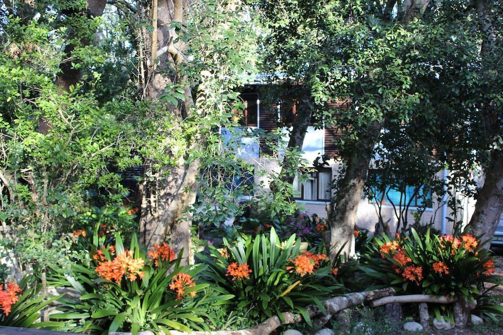 Nature'S Valley Health Retreat A Hide Away In The Forest Ngoại thất bức ảnh